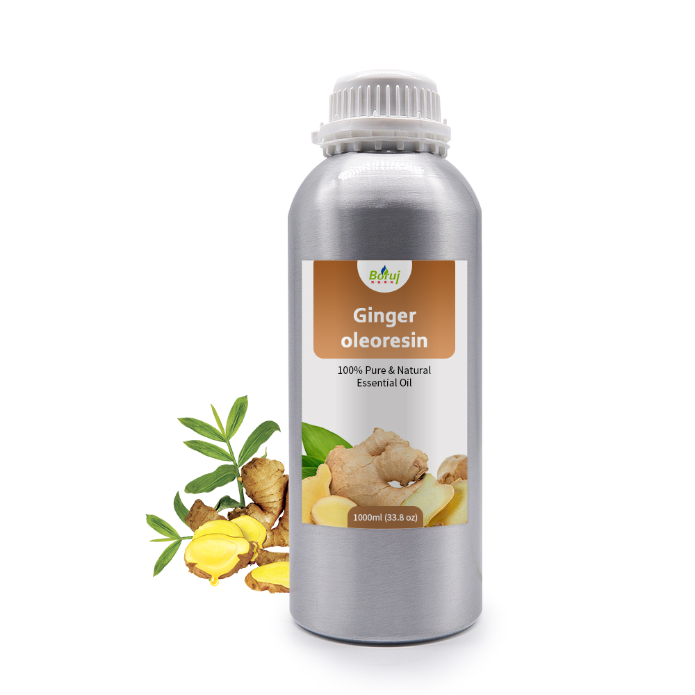 BORUI Wholesale Bulk Price 100% Pure Natural Spicy Food Grade Ginger Oleoresin Pure Essential Oil CO2 Extracted Cosmetic Use