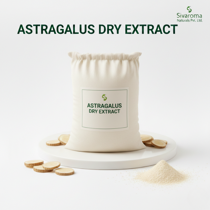 Astragalus Extract Powder Tailored for Industrial Applications Requiring Consistent Plant Derived Inputs