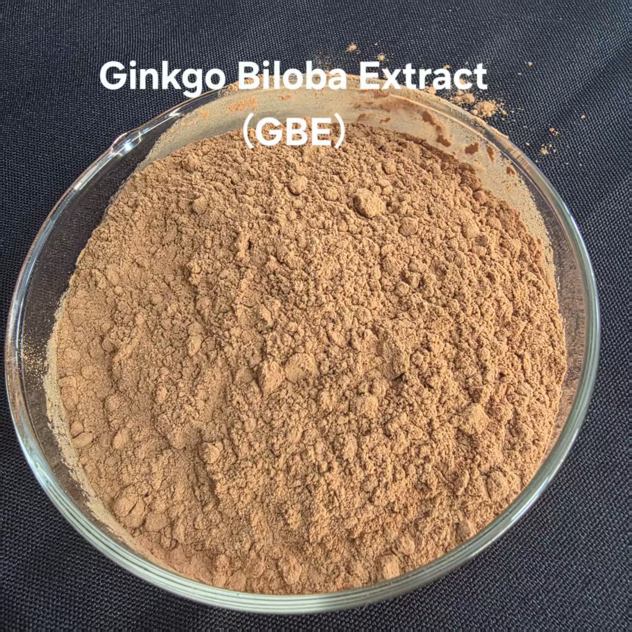 High Quality Wild Organic Ginkgo Biloba Powder-Wholesale Immunity-Boosting Herbal Supplement with Drum Packaging Customisable