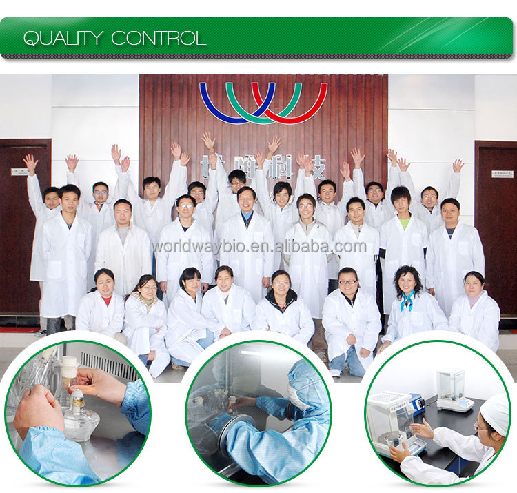 Production Facility 2