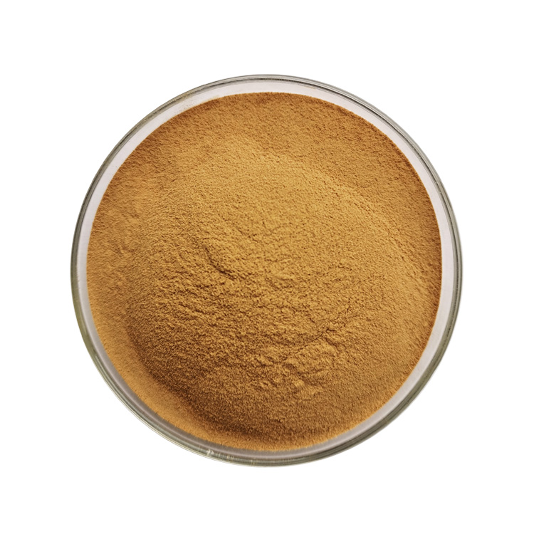 High Quality Natural Organic Quillaja Saponaria Bark Extract Powder