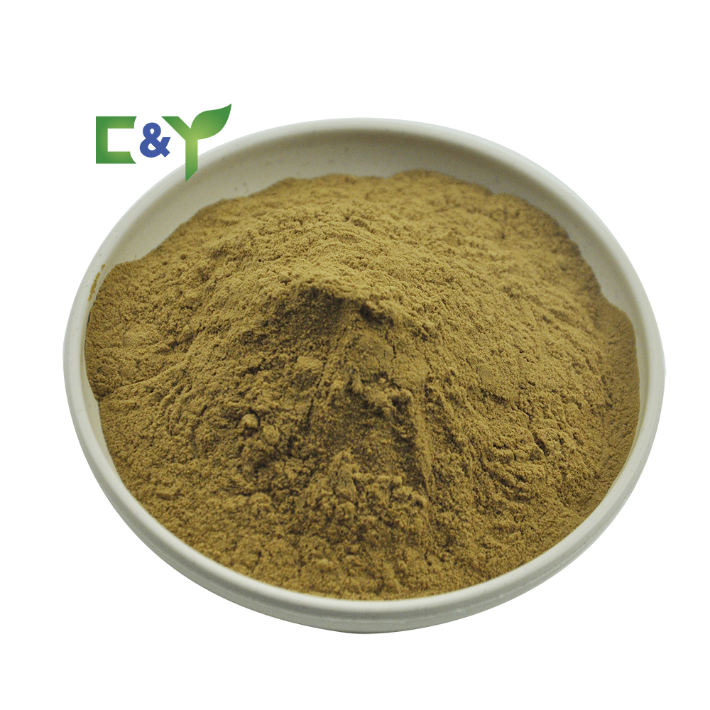 Hericium Erinaceus Product