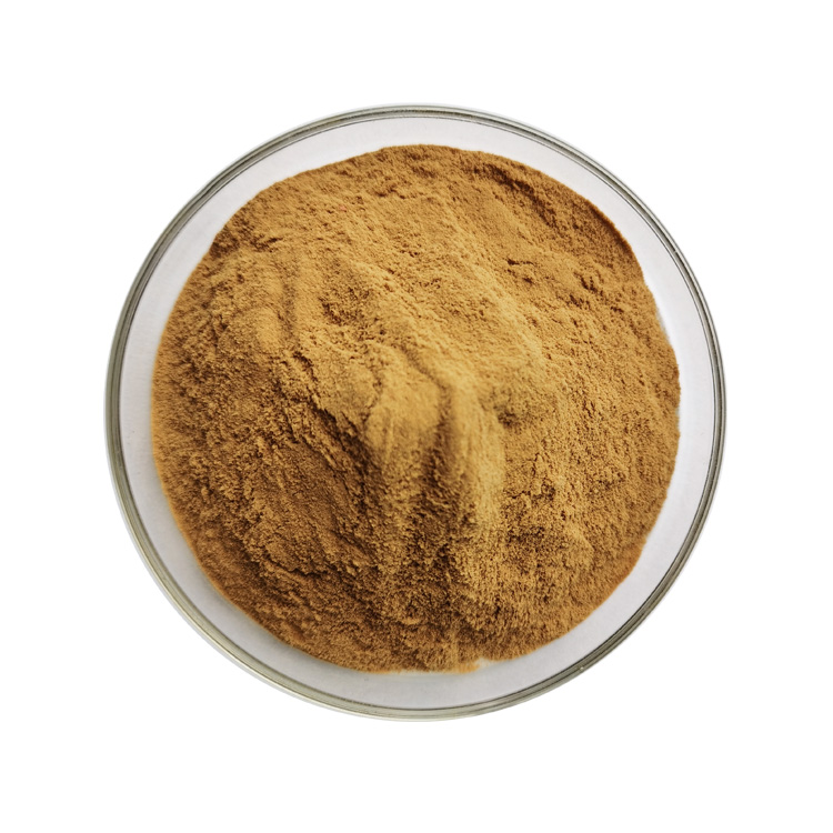 High Quality Natural Organic Quillaja Saponaria Bark Extract Powder