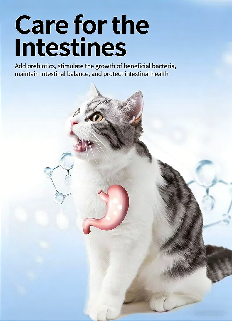 Top Super Premium Dry Cat Food | Chicken And Beef Recipe All Natural High Quality Cat Food Premium Pet Food 5kg