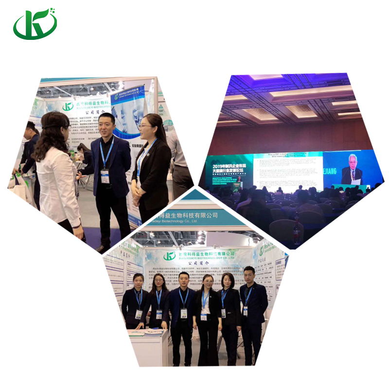 Exhibition Booth and Display