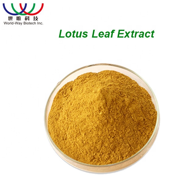Organic Wild-Cultivated Lotus Leaf Extract Powder Nuciferine Supplement for Weight Loss Vitamin-Active Herb Halal Bottle