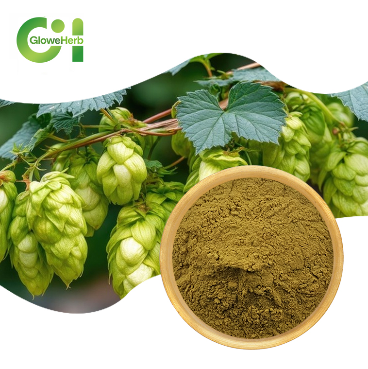 Hop Extract Powder Xanthohumol 5%