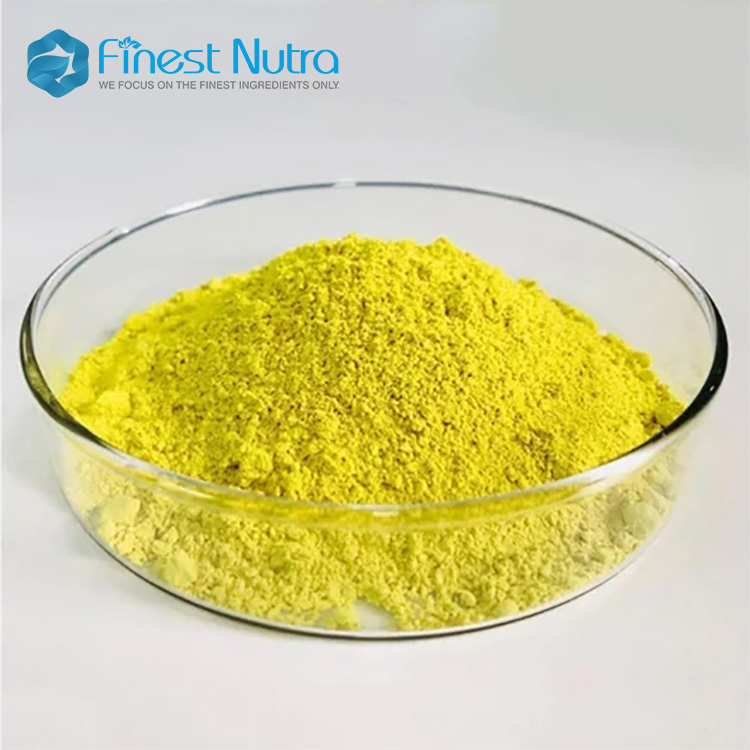Healthcare Supplements Natural Bulk Sophora Japonica Extract Powder 98% Dihydrate Quercetin