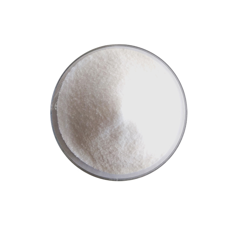 Plant Derived Ecdysterone for Muscle Growth with Natural Anabolic Activity