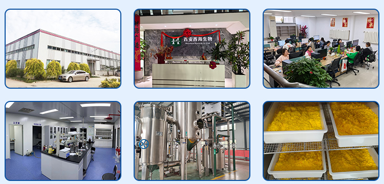 Wholesale Natural Nutraceutical Grade Ingredient Griffonia Seed Extract 98% 5-htp Griffonia Seed Extract Powder