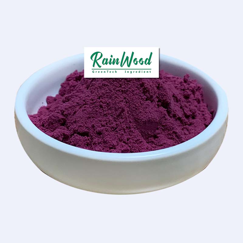 Pure Natural Pink Pitaya Powder Natural Colorant Dragon Fruit Pitaya Powder