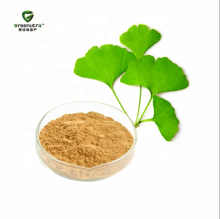 Ginkgo Biloba Extract Powder and Flavonoids Ginkgolide Ginkgo Biloba Extract Standardized Ginkgo Biloba Extract Terpene Lactones