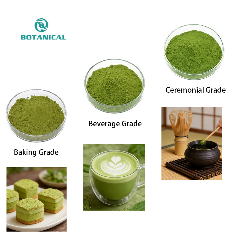 Wholesale High Quality Pure Matcha Powder USDA Organic Certified Japanese Matcha