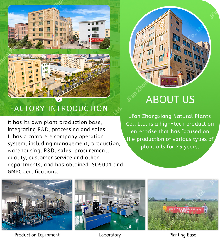 Company Facility