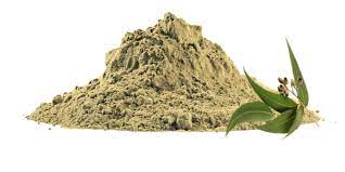 Organic Wild Eucalyptus Leaf Powder Herbal Extract Supplement for Health Food Halal Certified Available in Bag Drum Packaging