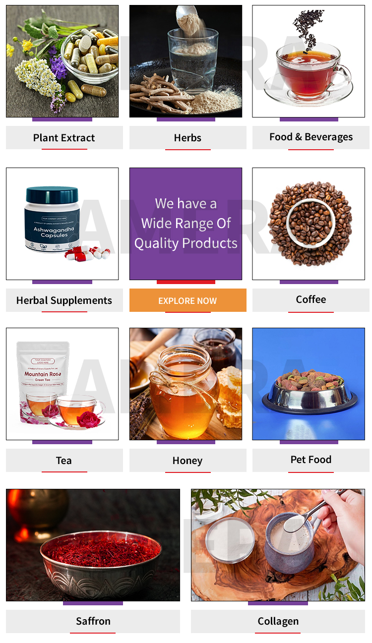 Product Range Catalogue