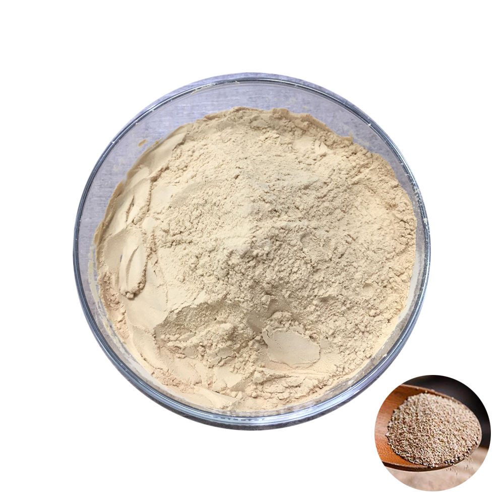 Yeast beta-glucan structure diagram