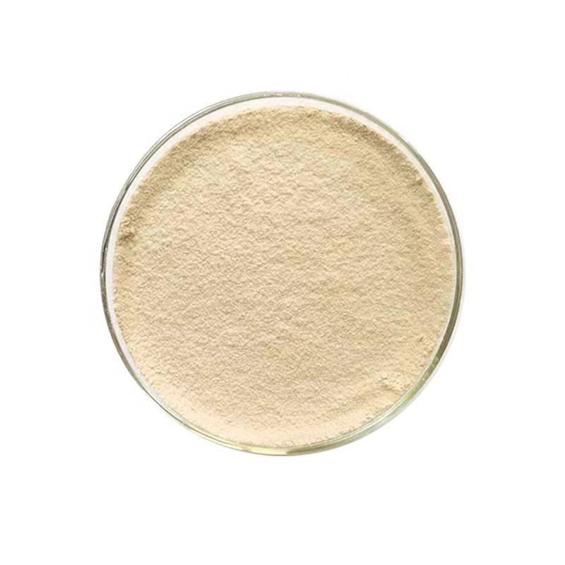 Supply High Quality Food Grade Yeast Extract 70%80% Beta-Glucan Powder Cas: 9012-72-0 Yeast Beta-Glucan Powder