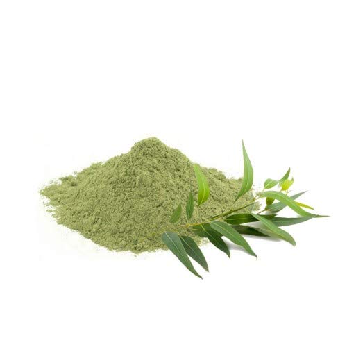 Organic Wild Eucalyptus Leaf Powder Herbal Extract Supplement for Health Food Halal Certified Available in Bag Drum Packaging