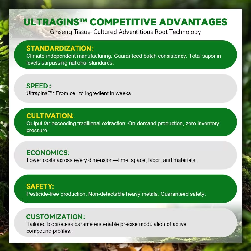 KODILIN Professional Supplier Stress Relief Energy Focus Nutraceutical Raw Material Pure Liquid Extract of Ginseng Adventitious