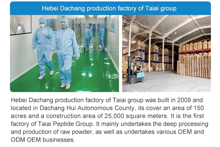 Production Factory 2