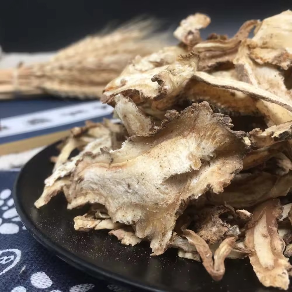 Organic Wild Radix Botanical Remedy Dang Gui Angelica Sinensis Whole Root Crude Stock