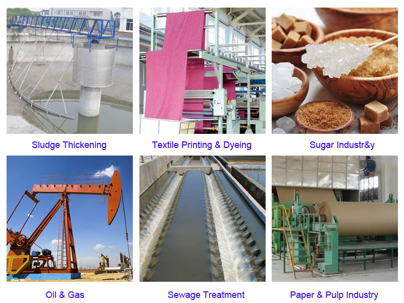 Buy Manufacture Polyacrylamide Price Raw Materials PAM for Chemicals Petroleum Additives