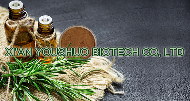 Plant-Derived Konjac Root Extract Phytoceramides Banner