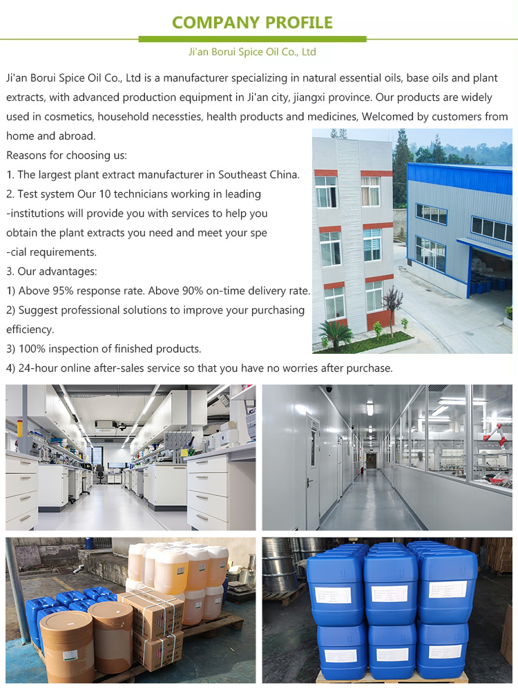 Factory Facility 1