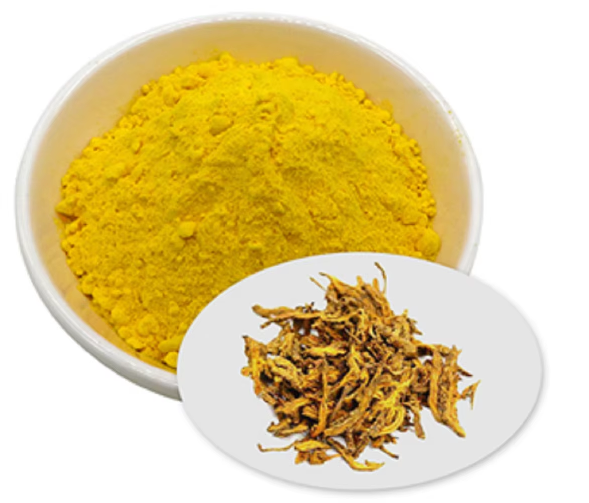 Top Selling Natural Berberine Extract 50% High Purity Botanical Powder for Wellness, Herbal &amp; Nutraceutical Applications