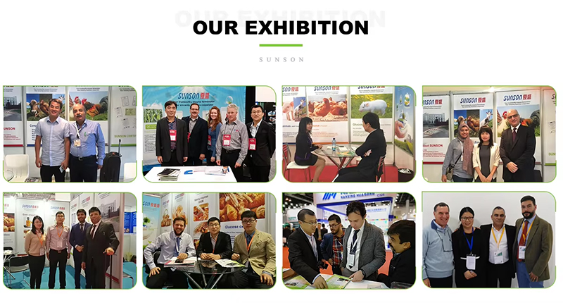 Exhibition Booth
