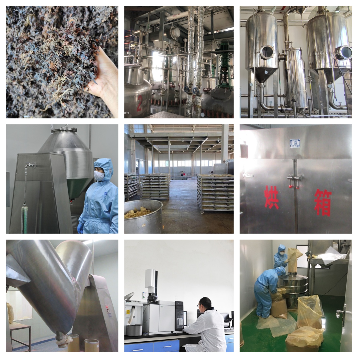 High Quality Rosemary Oleoresin Extract Food Grade Rosemary Leaf Extract