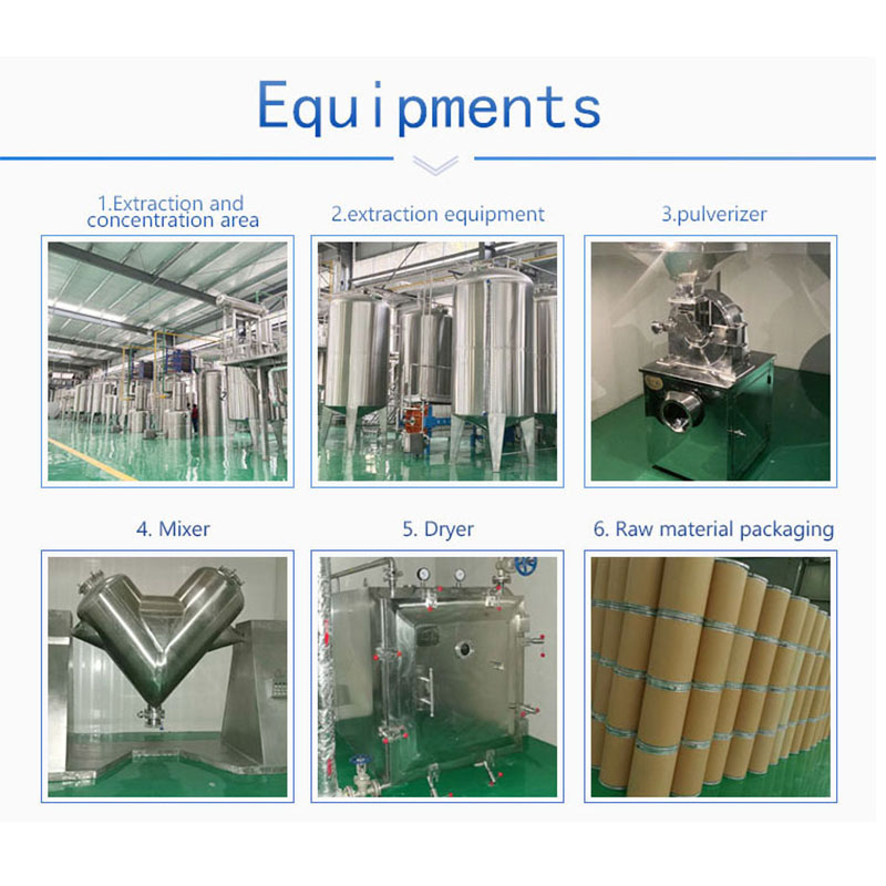 BCC High Quality Natural Organic Lotus Leaf Extract Powder Food Grade 1% 3% 98% Nuciferine Powder