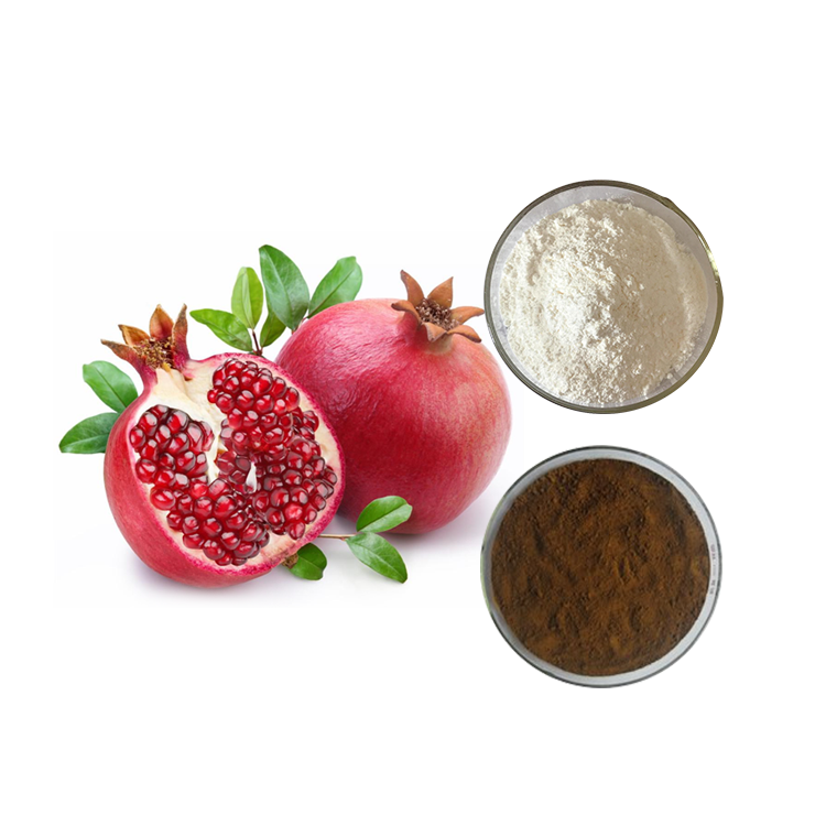 High Purity Pomegranate Peel Extract Natural Powder for Nutraceutical Cosmetic Food Ingredients Plant Extract