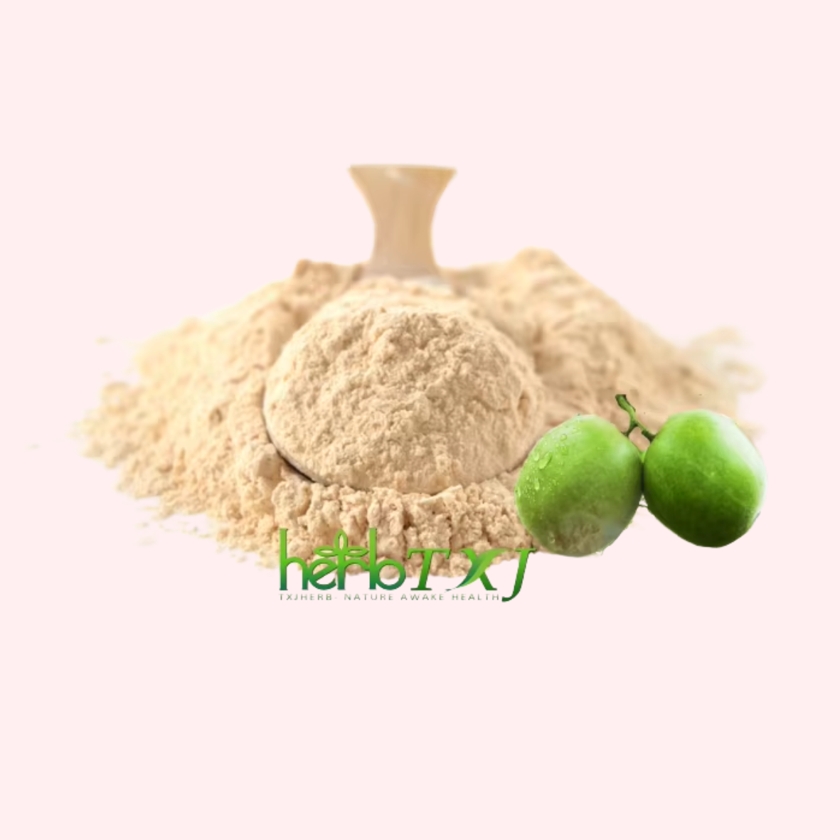 Factory Supply Standardized Botanical Extracts Monk Fruit Extract Mogroside V 30% Powder