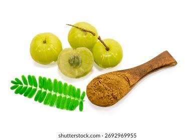 Gooseberry Powder Food Grade Herbal Ingredient Rich in Natural Nutrition for Health Foods Beverages Nutraceuticals Wellness