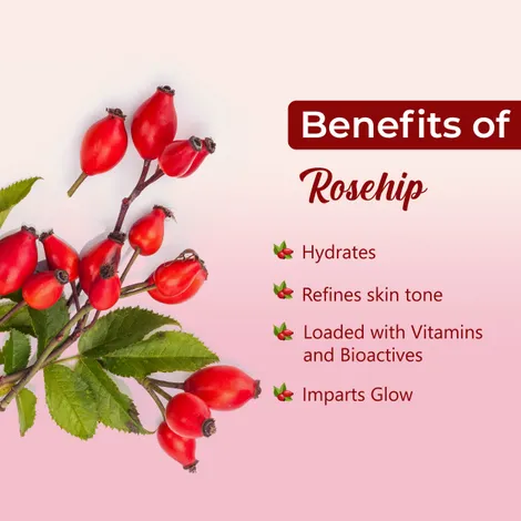 Factory Supply Natural Organic Food Herb Extract Rosehip Fruit Powder Rose Hip Powder Rosehip Powder