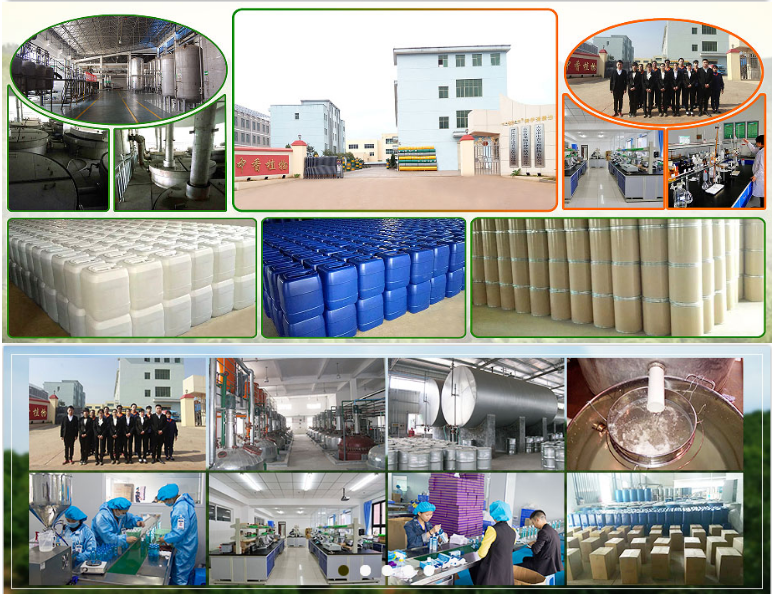 Company Facility 4