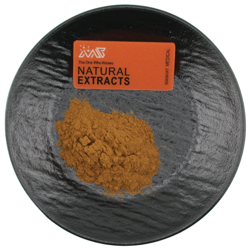Factory Supply High Quality Raw Material Bulk Supply OEM Lotus Leaf Extract