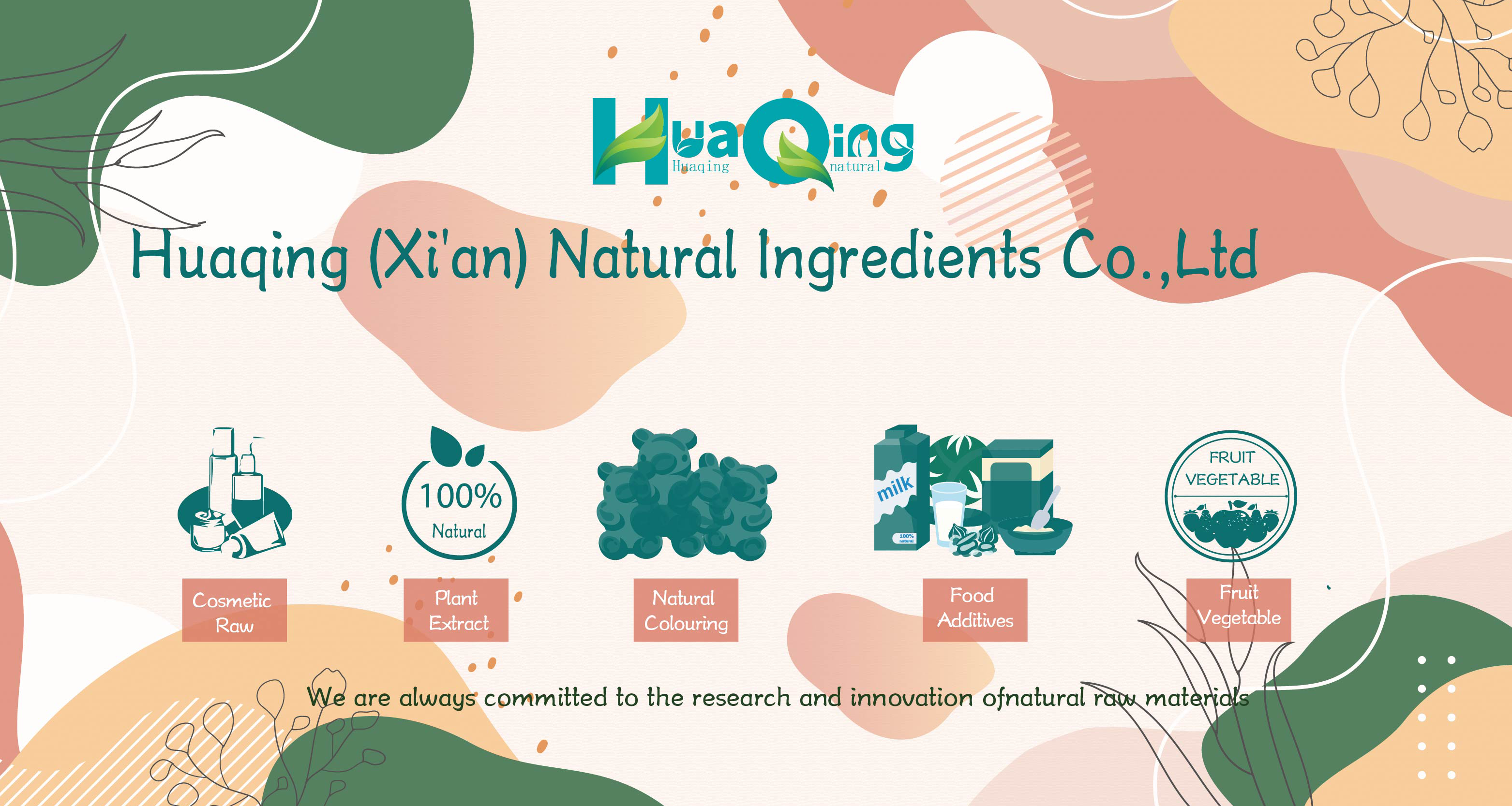 Cirsium Japonicum Extract Powder Banner