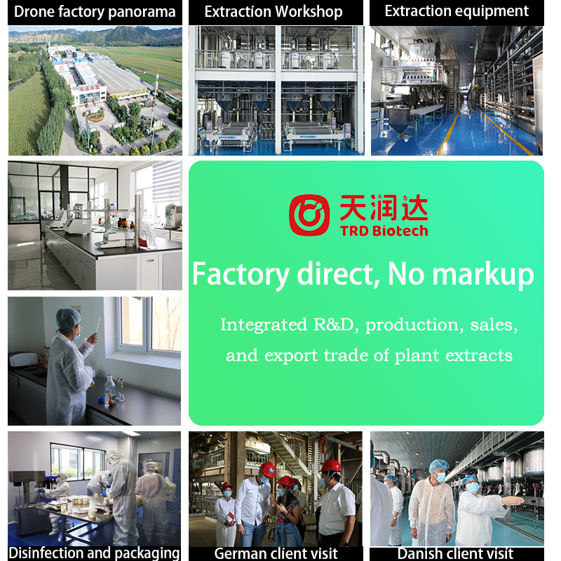 Bulk Jasmine Flower Extract Natural Plant Derived Powder for Functional Food Beverage Application