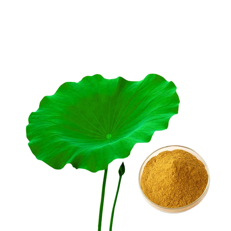 Organic Wild-Cultivated Lotus Leaf Extract Powder Nuciferine Supplement for Weight Loss Vitamin-Active Herb Halal Bottle