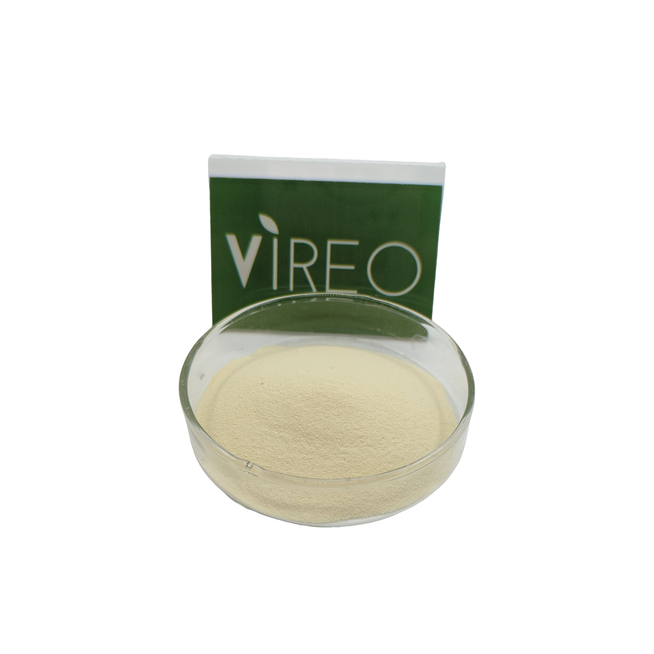 Food Grade Soy Peptide Hydrolase for Functional Food Processing Soy Peptide Hydrolase for Food Nutrition Enhancement