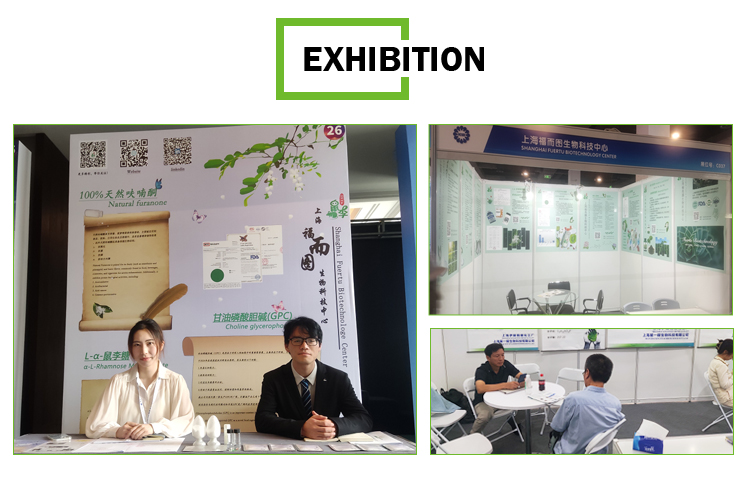 Exhibition