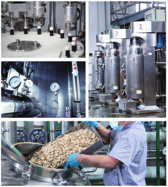 Our Factory
