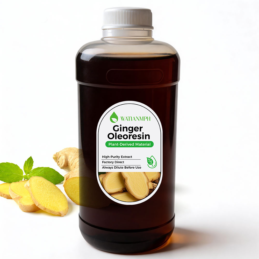 Ginger Oleoresin Essential Oil Fresh Fragrance for Reed Diffuser Air Freshener