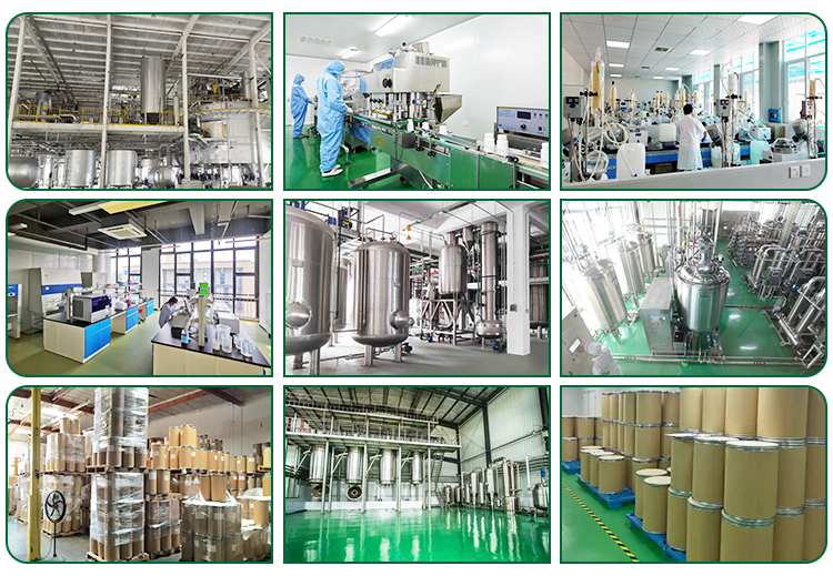 Automatic Packaging Process