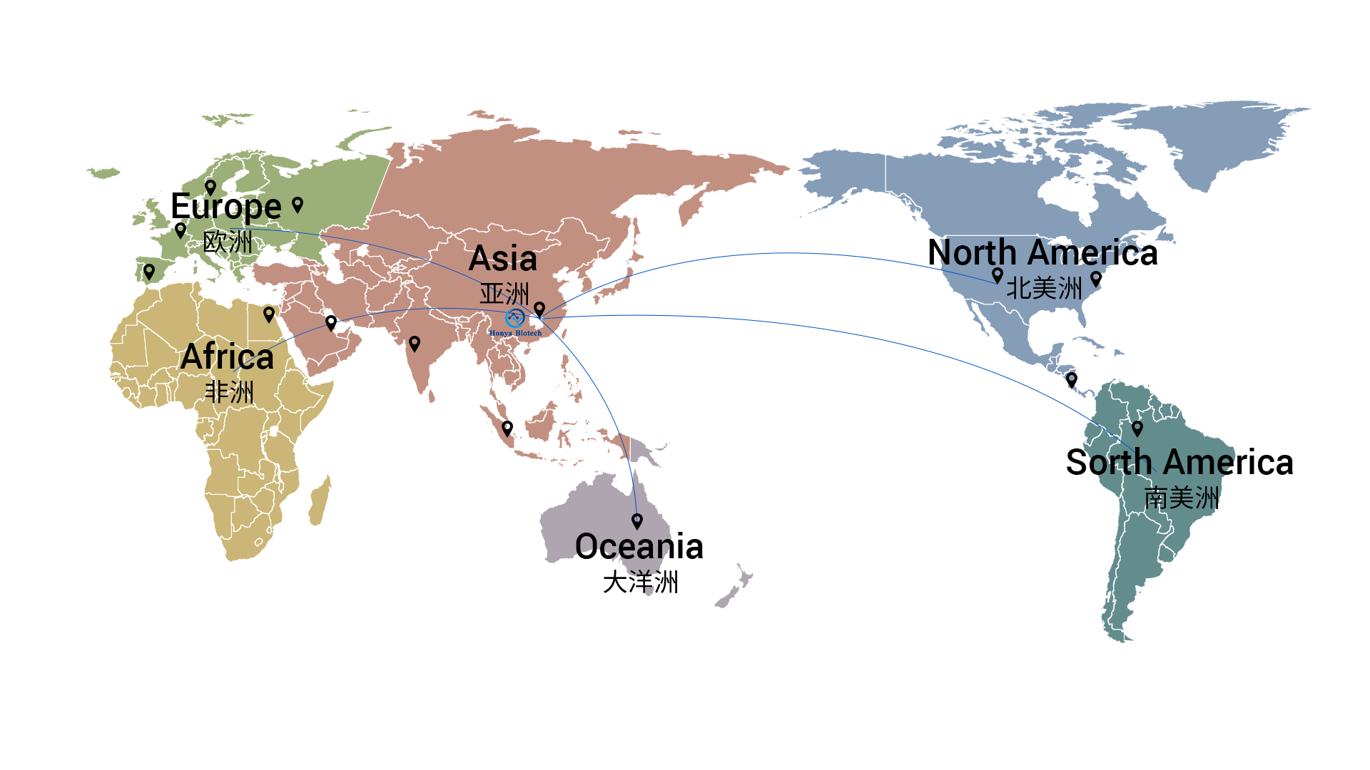 Facility Overview