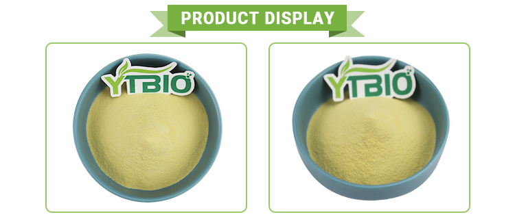 Product Showcase 3