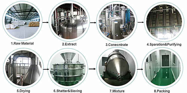 Production Process